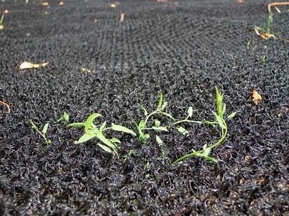  EnviroMat® Polyamide (PA6) Turf Reinforcement Mats 